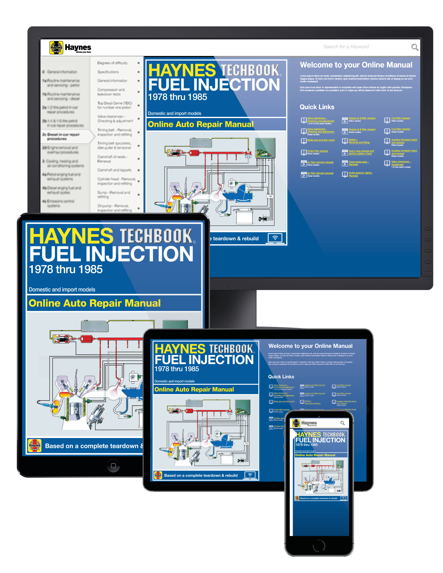 Haynes manual online subscription